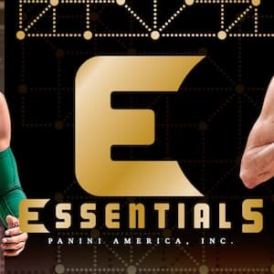 2017-18 Panini Essentials Basketball cover