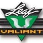 2017 Leaf Valiant Baseball cover
