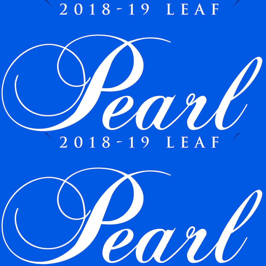 2018-19 Leaf Pearl Multi-Sport cover