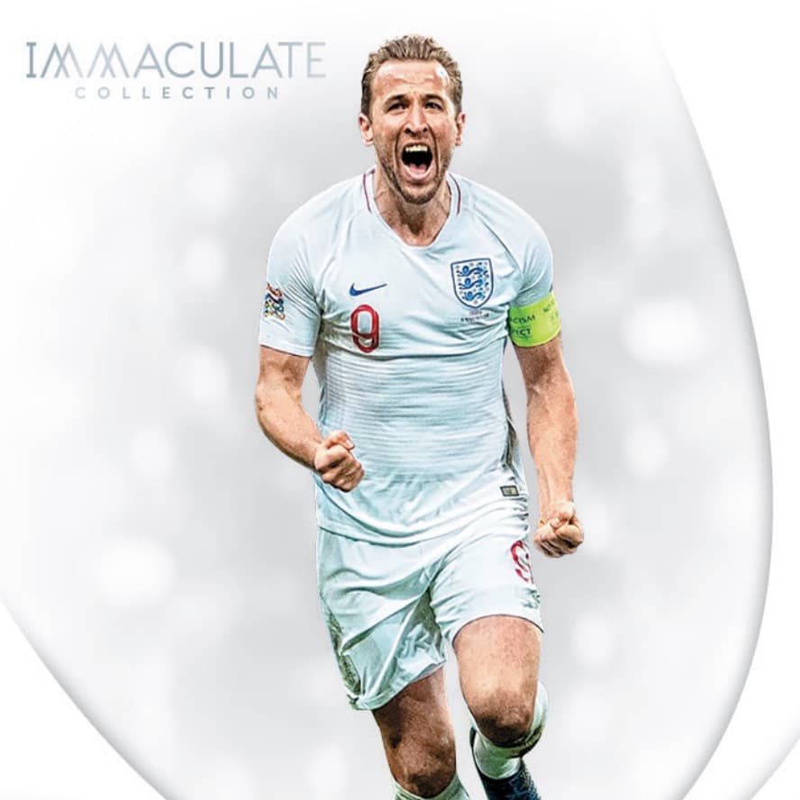 2018-19 Panini Immaculate Collection Soccer cover