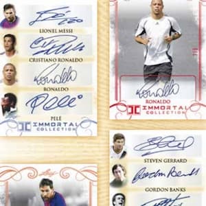 2018 Leaf Immortal Collection Soccer cover