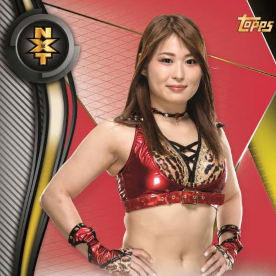 2019 Topps WWE NXT Wrestling cover