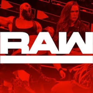 2019 Topps WWE Raw Wrestling cover