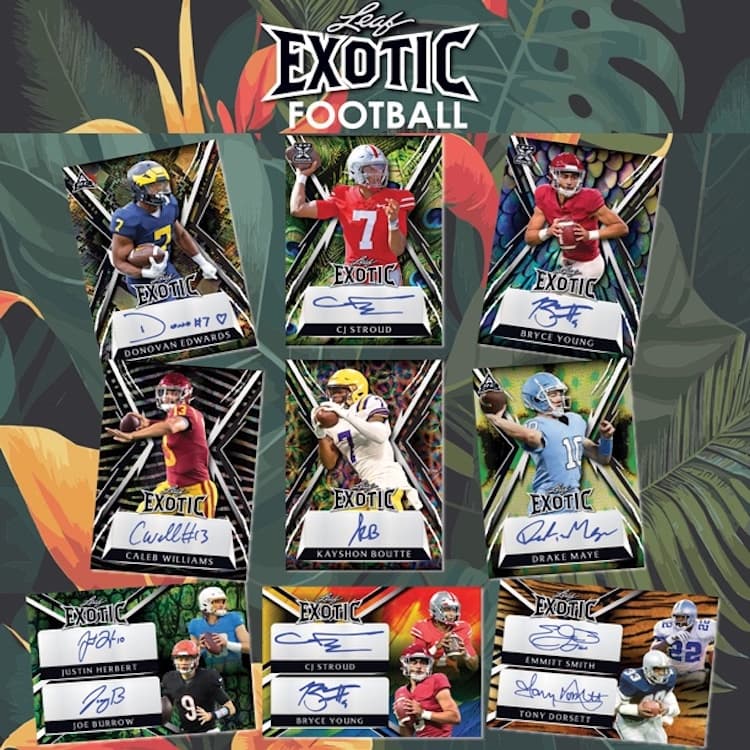 2023 Leaf Exotic Football cover